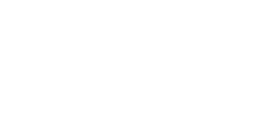 UDUS logo