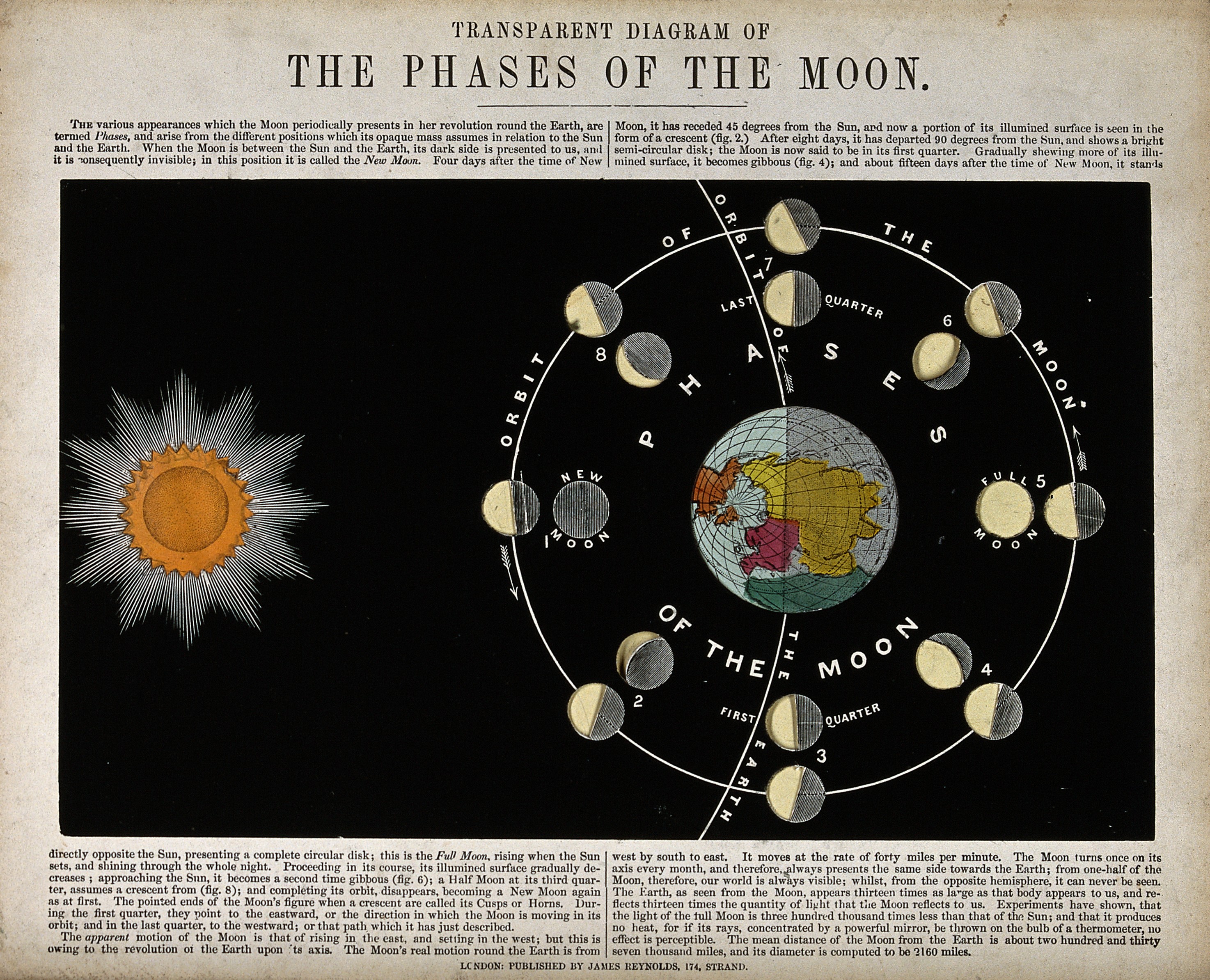 Image/Video/Audio: Diagram: Phases of the Moon Image/Video/Audio Source: https://upload.wikimedia.org/wikipedia/commons/8/8b/Astronomy%3B_a_diagram_of_the_phases_of_the_moon._Engraving._Wellcome_V0024718.jpg